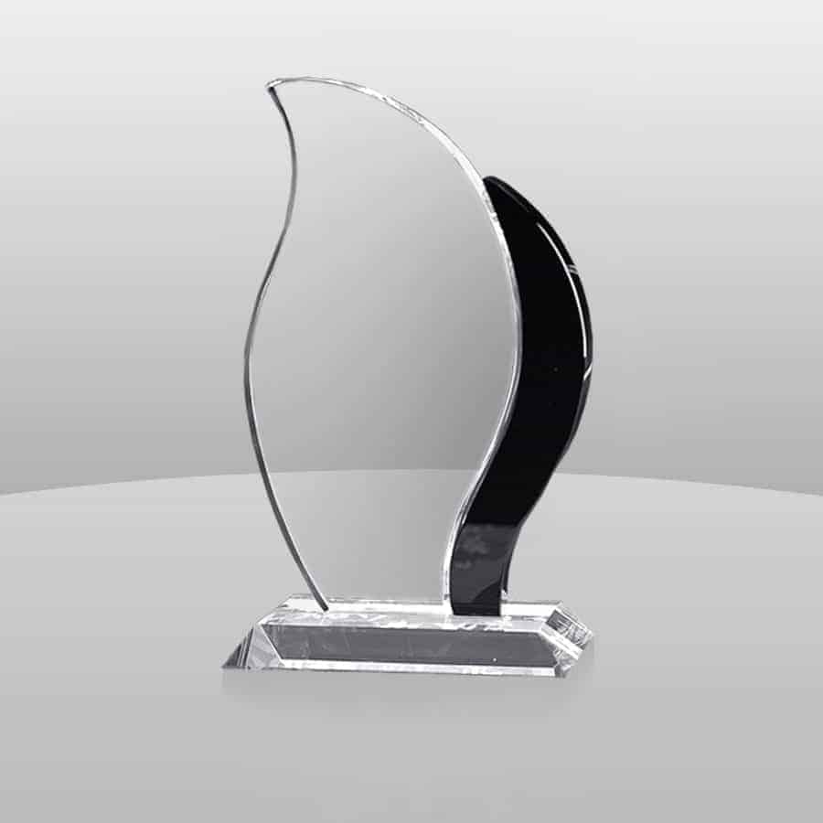 CAN5860 - CAN5860 | Crystal Artisan Award