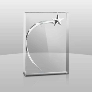 770CC - 770CC | 3D Clear Shining Star Award