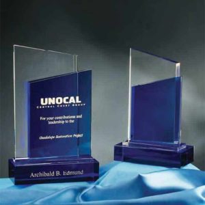 NBL - NBL | Crystal Bliss Award