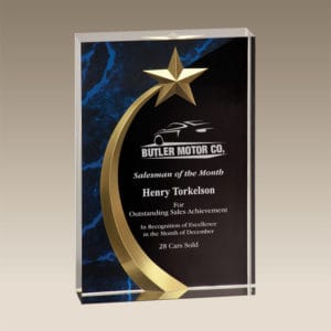 SHS - SHS | Acrylic Shooting Star Award