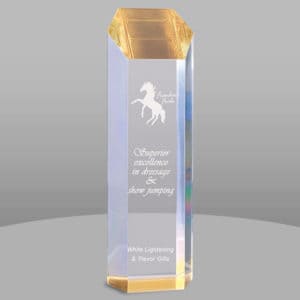 TWR - TWR | Acrylic Tower Award