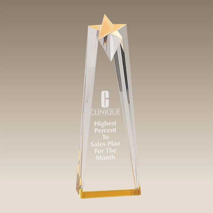 AST | Acrylic Sculpted Star Award