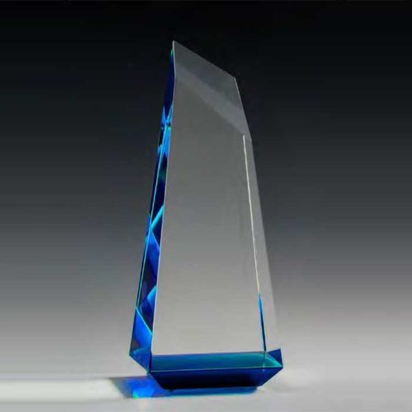 NLMN309 | Crystal Lumen Award