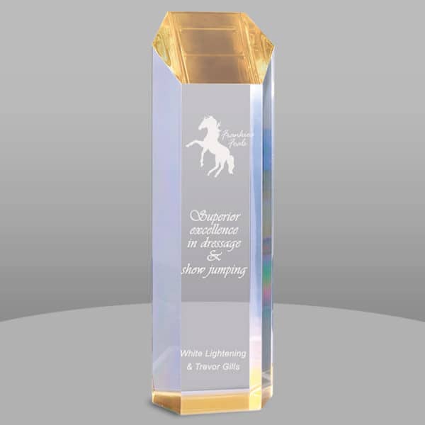 TWR | Acrylic Tower Award